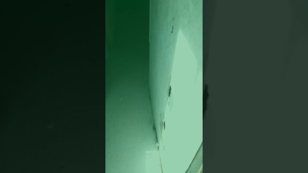 We saw another one