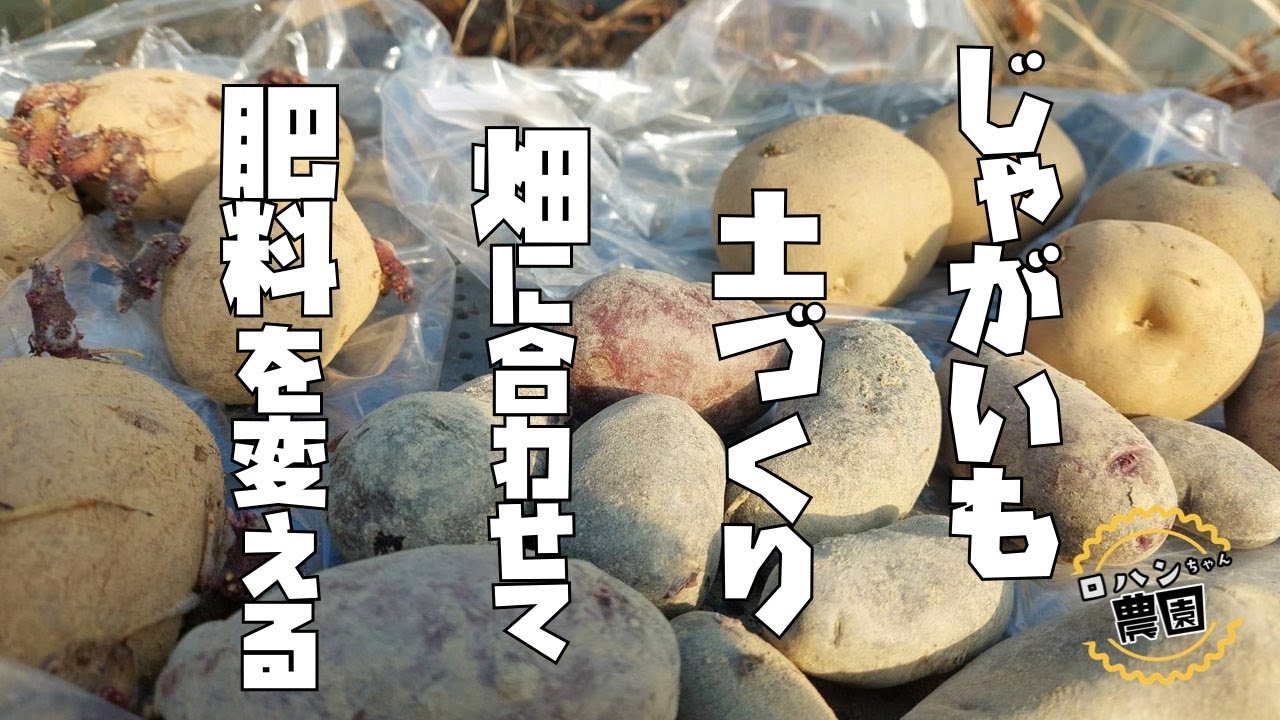 【じゃがいも】土づくり！！元肥は入れる？入れない？畑に合わせて肥料を入れる！【農家の家庭菜園】