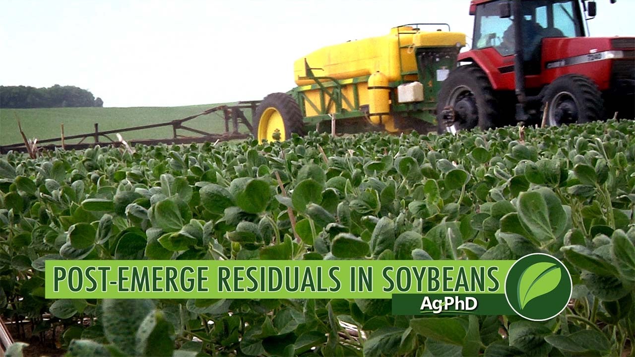 Post-Emerge Residuals In Soybeans #997 (Air Date 5-14-17)