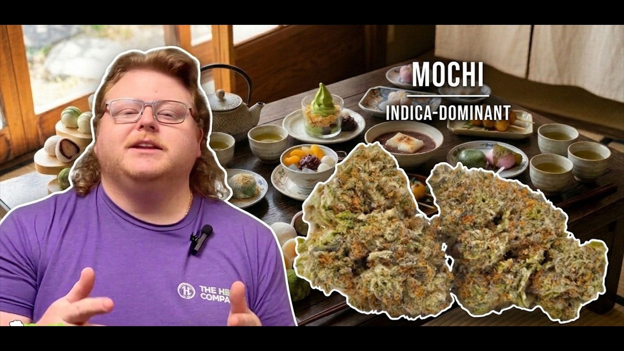 Mochi Strain Review: It's Like a Hug From a Cloud.