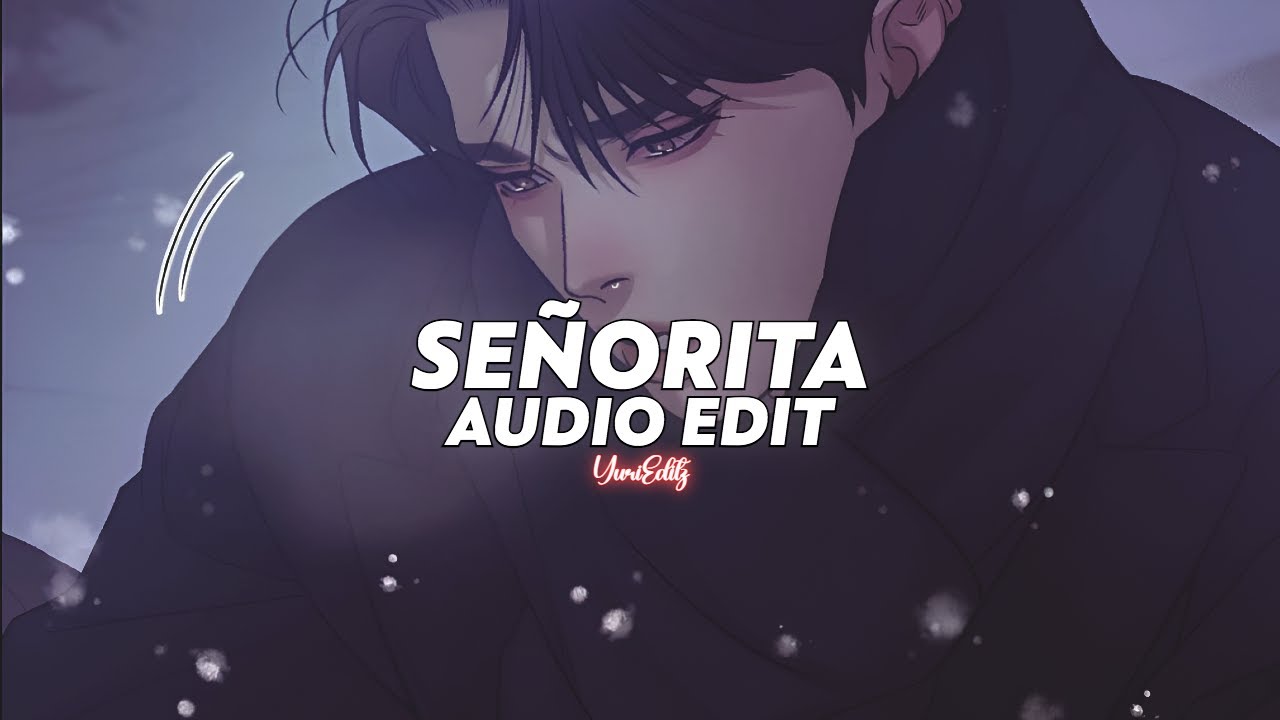 senorita (tiktok version) || shawn mendes, camila cabello [edit audio]