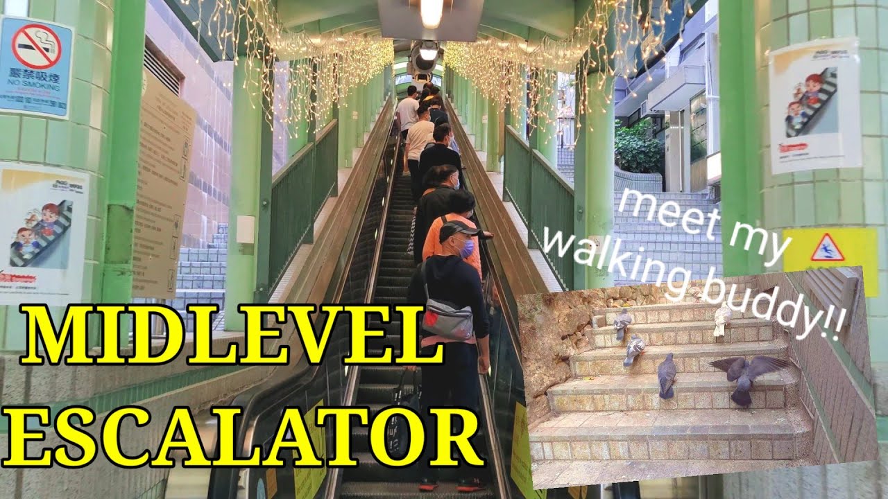 [4K] Hongkong Midlevel Escalator | Central to Conduit Rd. | Longest Covered Escalator in the World