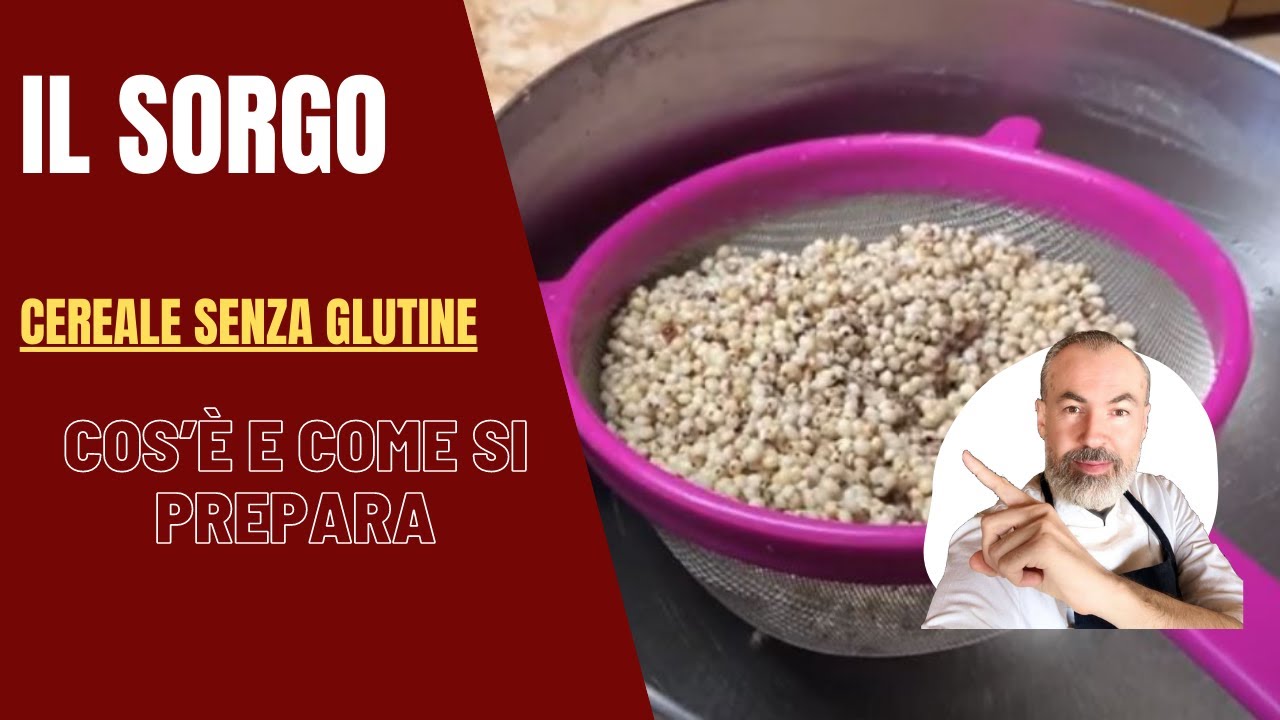 Il sorgo (cereale senza glutine) : cos’è e come si prepara