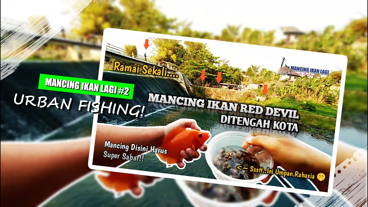 MANCING RED DEVIL JOGJA DIPINGGIRAN SUNGAI KELIHATAN RAME