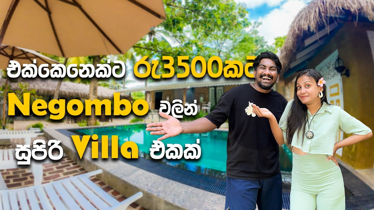 ‍එක්කෙනෙක්ට රු 3500කට බාලි Experience එකක්  ගන්න සුපිරි Villa එකක් | Shaura Villa | @traveljoduwa 