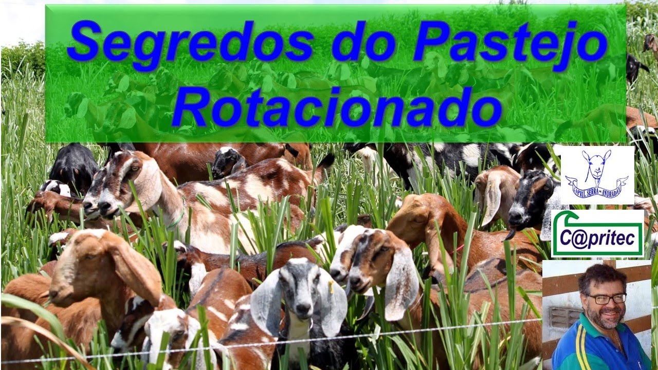 Segredos do Pastejo Rotacionado