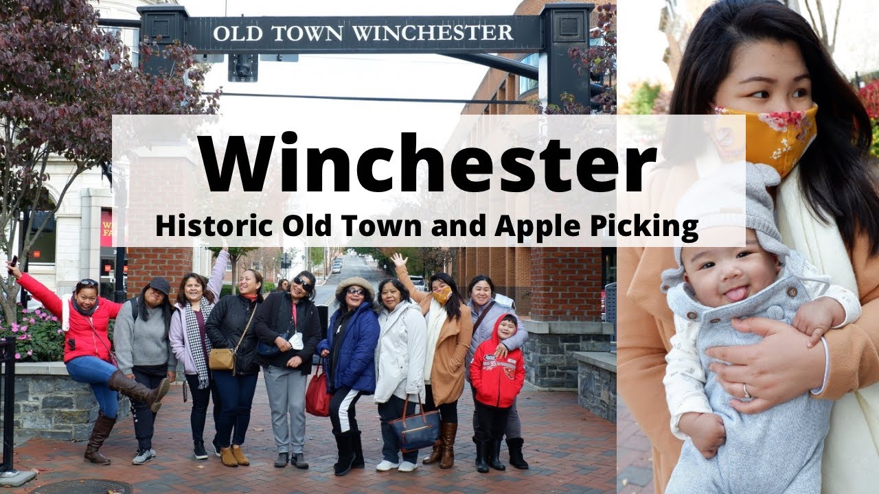 Winchester | Virginia | Old Town | Apple Picking