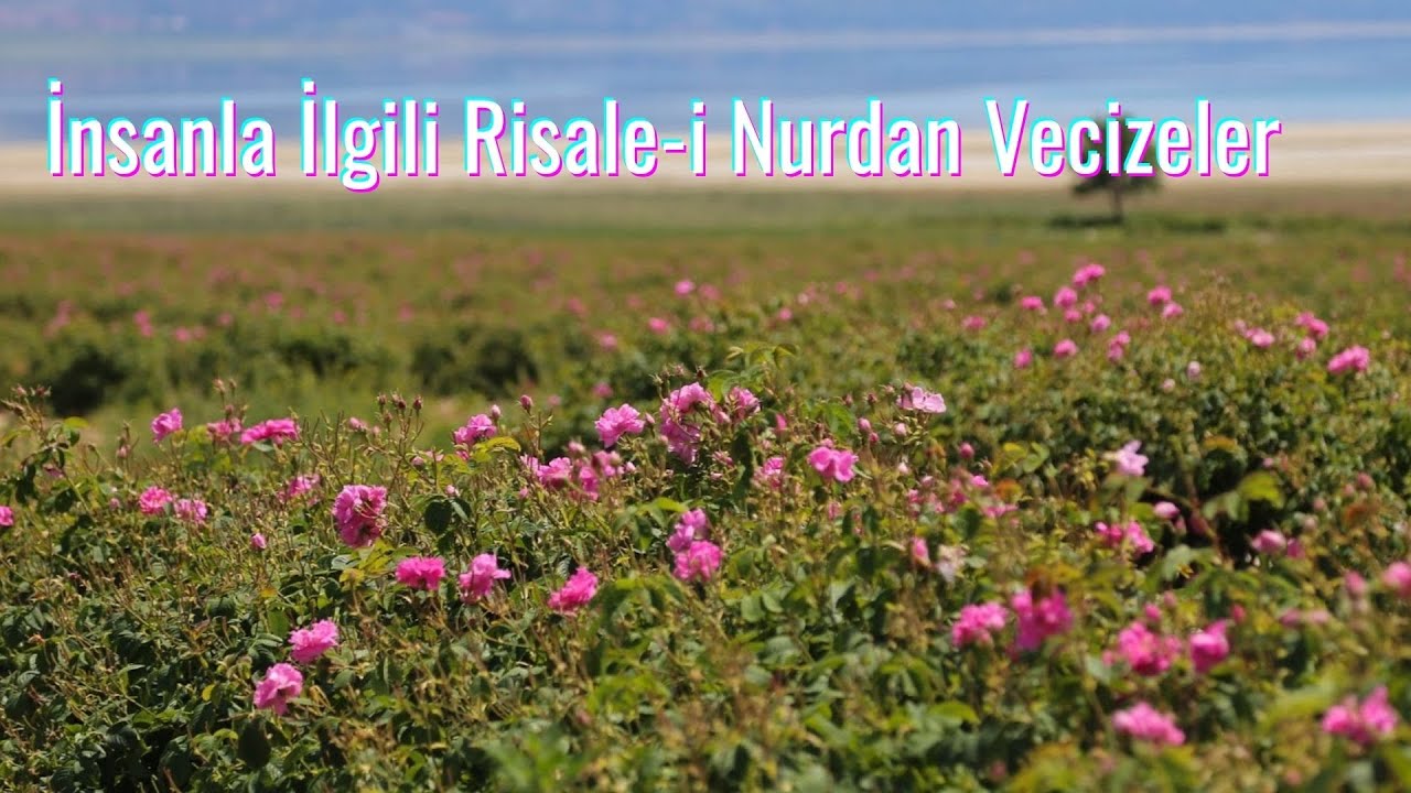 İnsanla İlgili Risale-i Nurdan Vecizeler