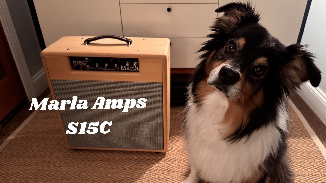 Marla Amplification S15C