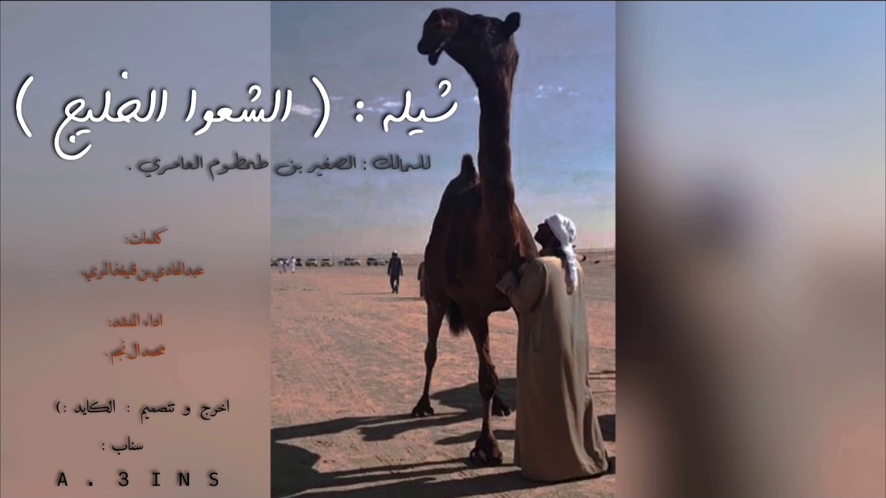 شلة (#العشوا_العوامر) للمالك : الصغير بن طمطوم العامري كلمات : عبدالهادي بن قنيفذ اداء : محمد ال نجم