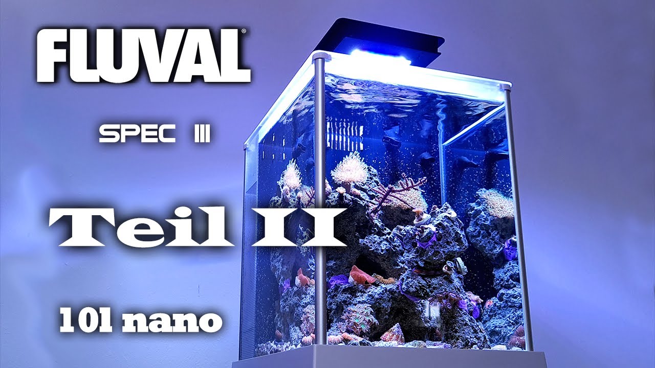 Fluval Spec Nanoaquarium mit Marine LED Teil II