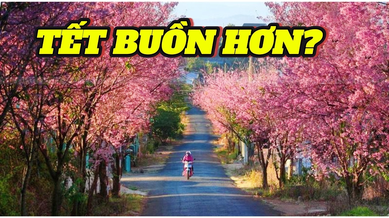 Tại Sao Tết Bây Giờ Buồn Hơn? 30 Tết ở Đà Lạt