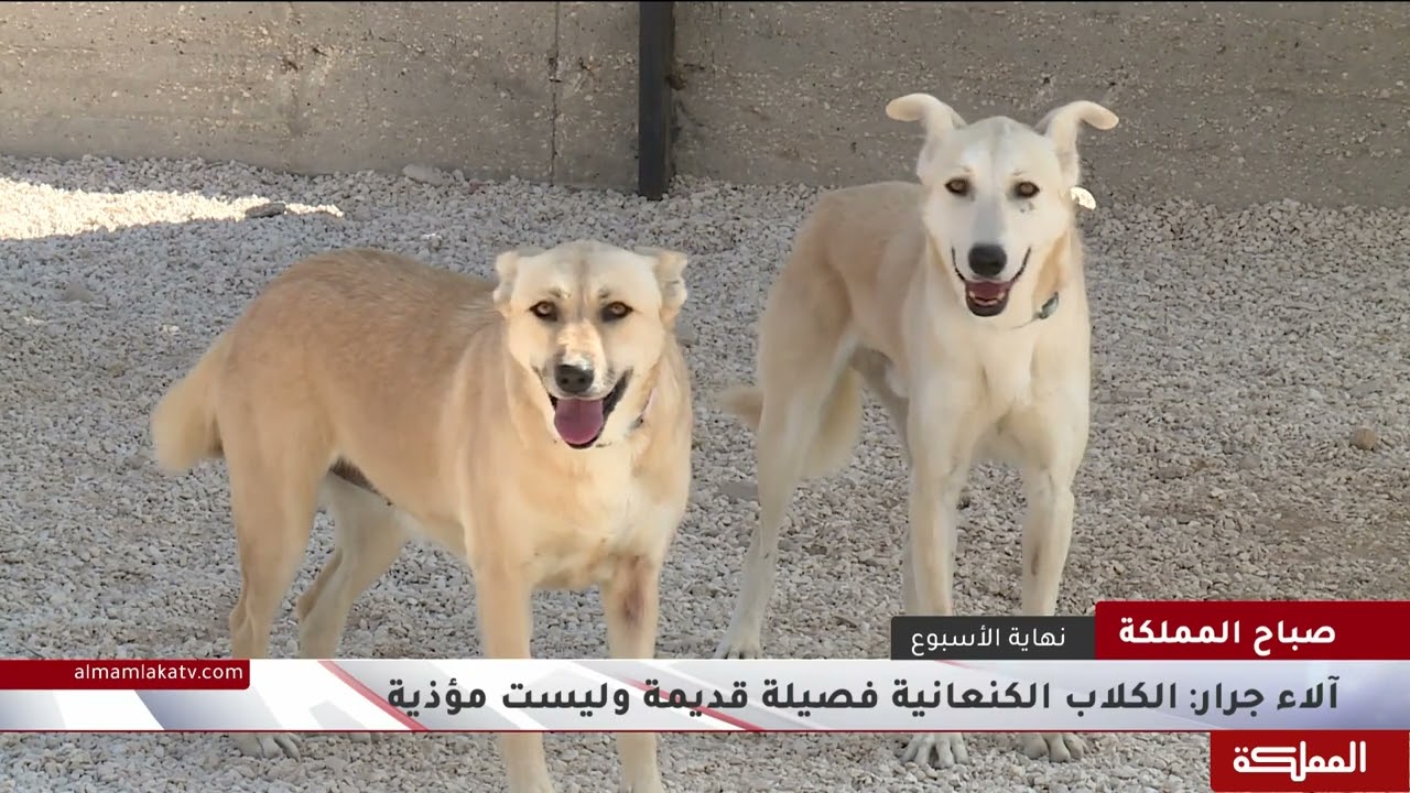 نصائح تساعد على التعامل مع 