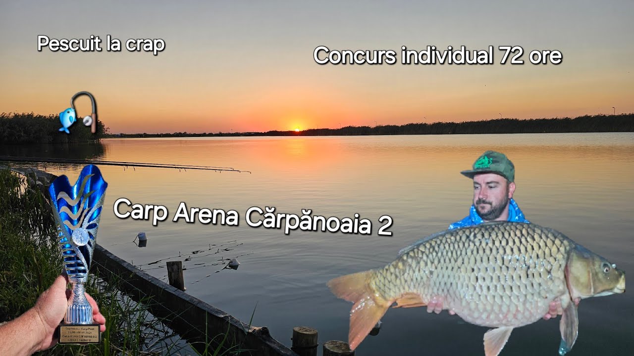 Pescuit la crap pe Carp Arena Cărpănoaia #pescuitlacrap #enjoy #katran #carp #enjoyfishing