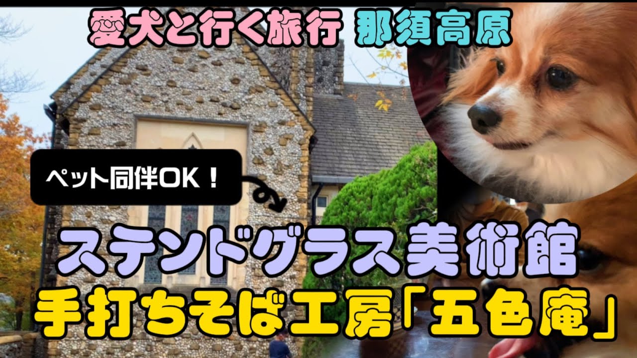 【愛犬と行く旅行】栃木 那須高原「那須ステンドグラス美術館」と手打ちそば「蕎麦工房 五色庵」【パピヨン犬ビビりなノエルくん】