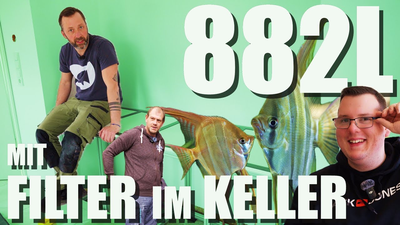 UMZUG, MONTAGE und EINRICHTUNG - 200cm Süßwasseraquarium mit Technik im KELLER!!!