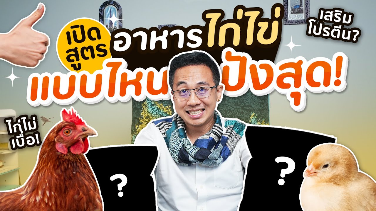 อาหารไก่พารวย! สร้างง่ายๆด้วยสูตรลับ