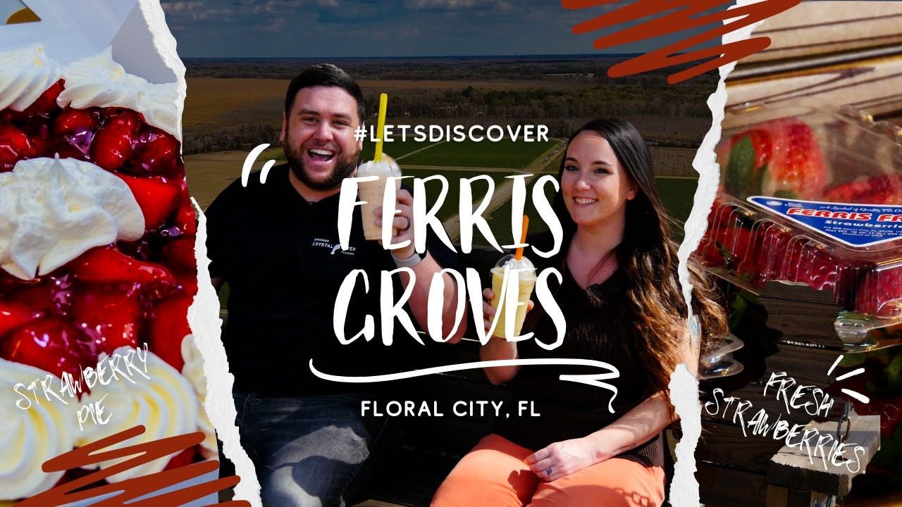 The most DELICIOUS STRAWBERRIES in Florida are in CITRUS COUNTY?! #LetsDiscover Ferris Groves!