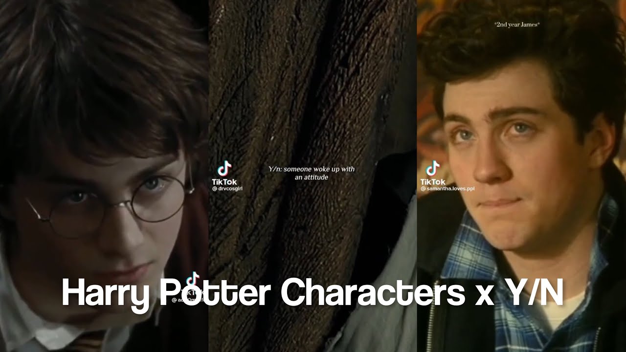 Harry Potter Characters x Y/N TikTok POV