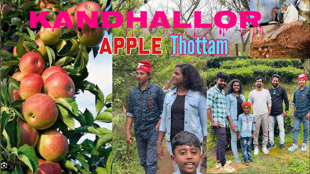 Munnar to Kandhallor🍎🍊🍈🍓 #munnar