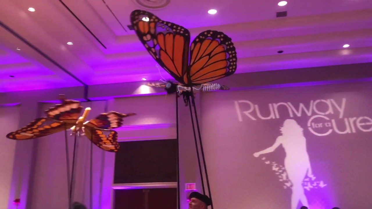 Butterfly Puppets