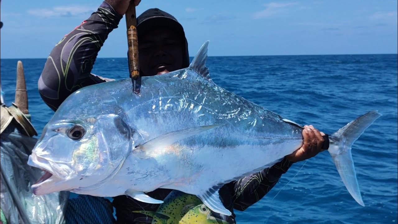 (Guerreiros Do Mar) NUNCA VI TANTO PEIXE GRANDE EM UM ÚNICO LUGAR, SÓ BITELÃO QUE DA GOSTO DE VER