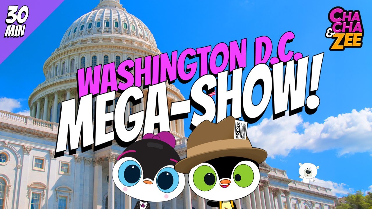 Watch These Adorable Penguins Explore Washington DC For The First Time || Penguins Tour