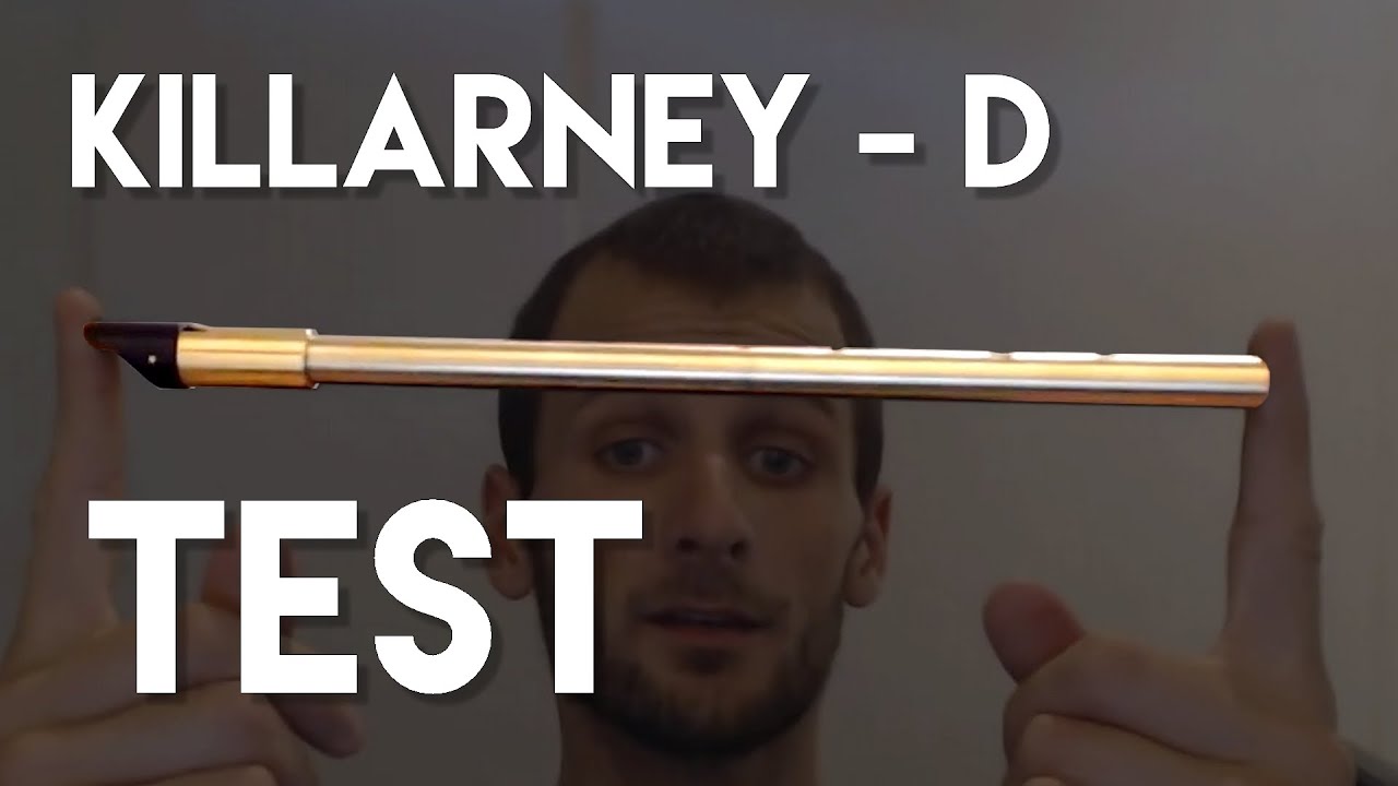 TEST Killarney whistle D