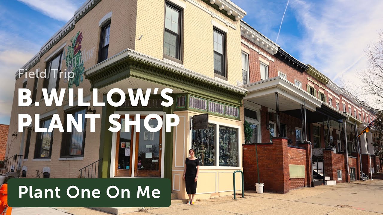 Go Inside B. Willow's Charming BALTIMORE PLANT SHOP &mdash;&nbsp;Ep. 375