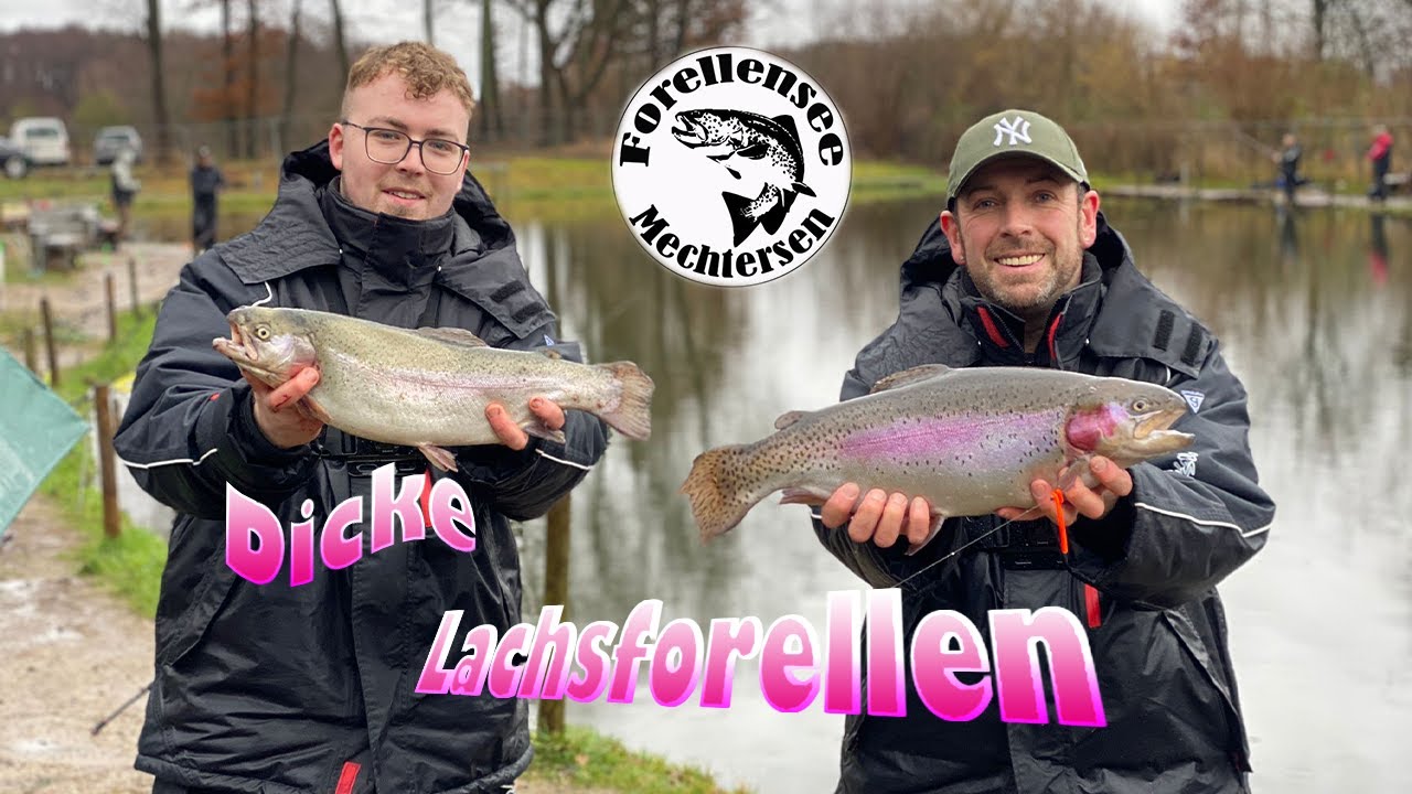 Forellenangeln in Mechtersen auf XXL Lachsforellen mit UL | Die Elbcoastangler