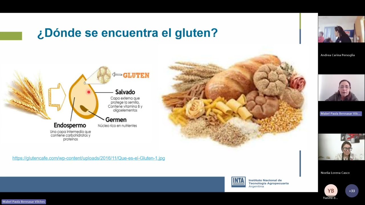 Capacitación Alimentos Libres de Gluten (ALG)