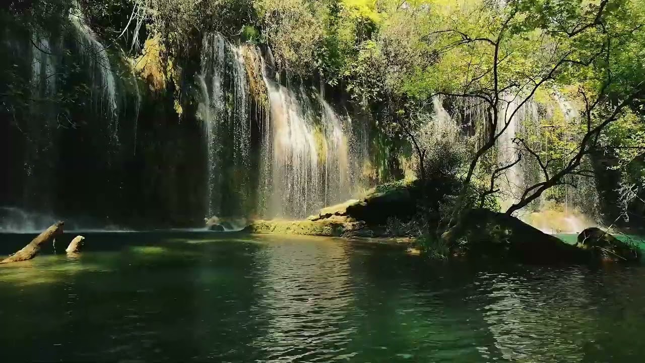 Stress Relief Meditation | Clear Your Mind with Water & Birds Sounds 🌿