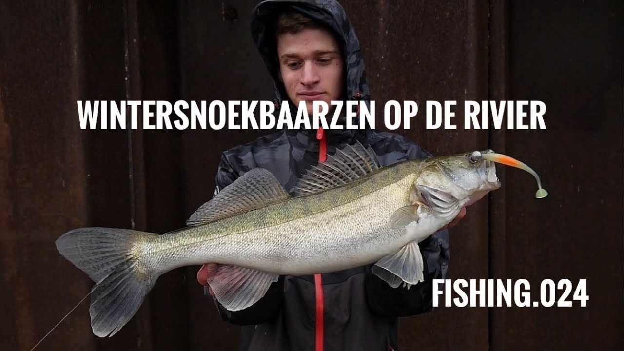 Wintersnoekbaarzen op de rivier (fishing.024)