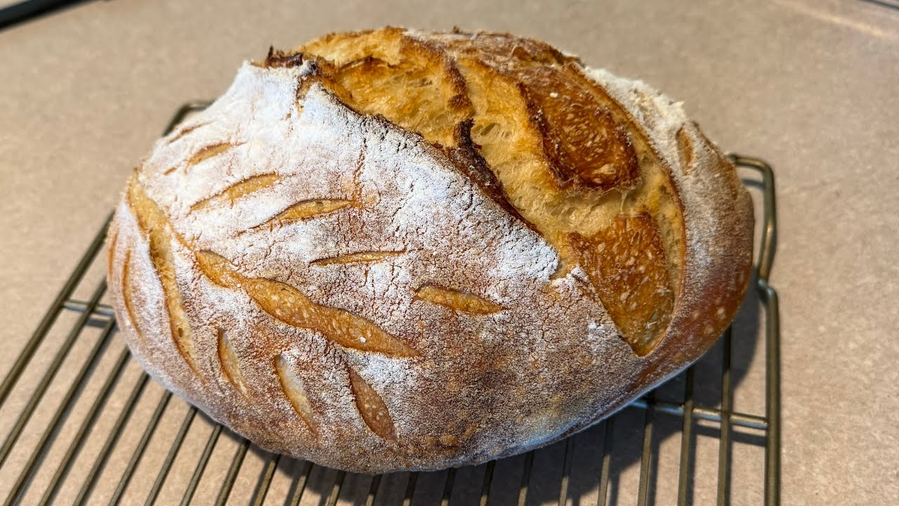 Sourdough Basics