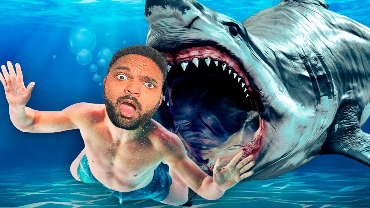 UN REQUIN DANGEREUX M'ATTAQUE !