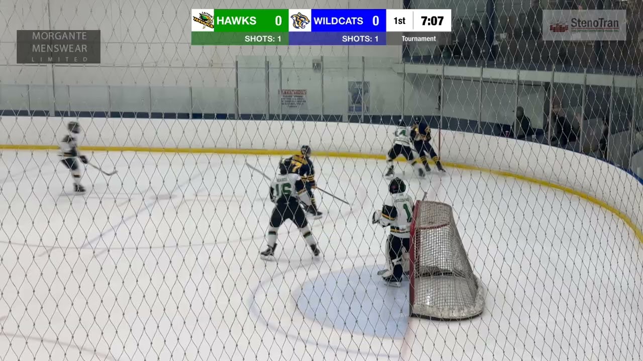 Leitrim Hawks U14 vs Whitby Wildcats - Jan 10, 2026 - HD
