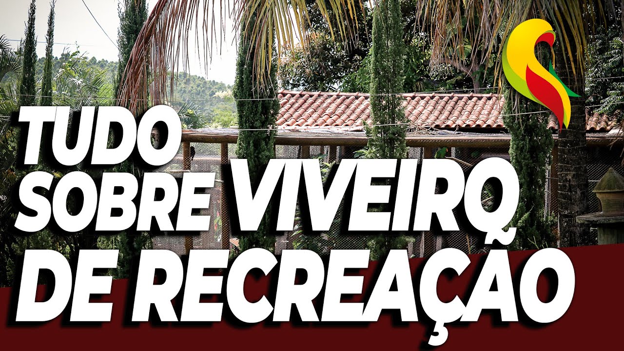 TOUR PELOS VIVEIROS DO REI DAS AVES