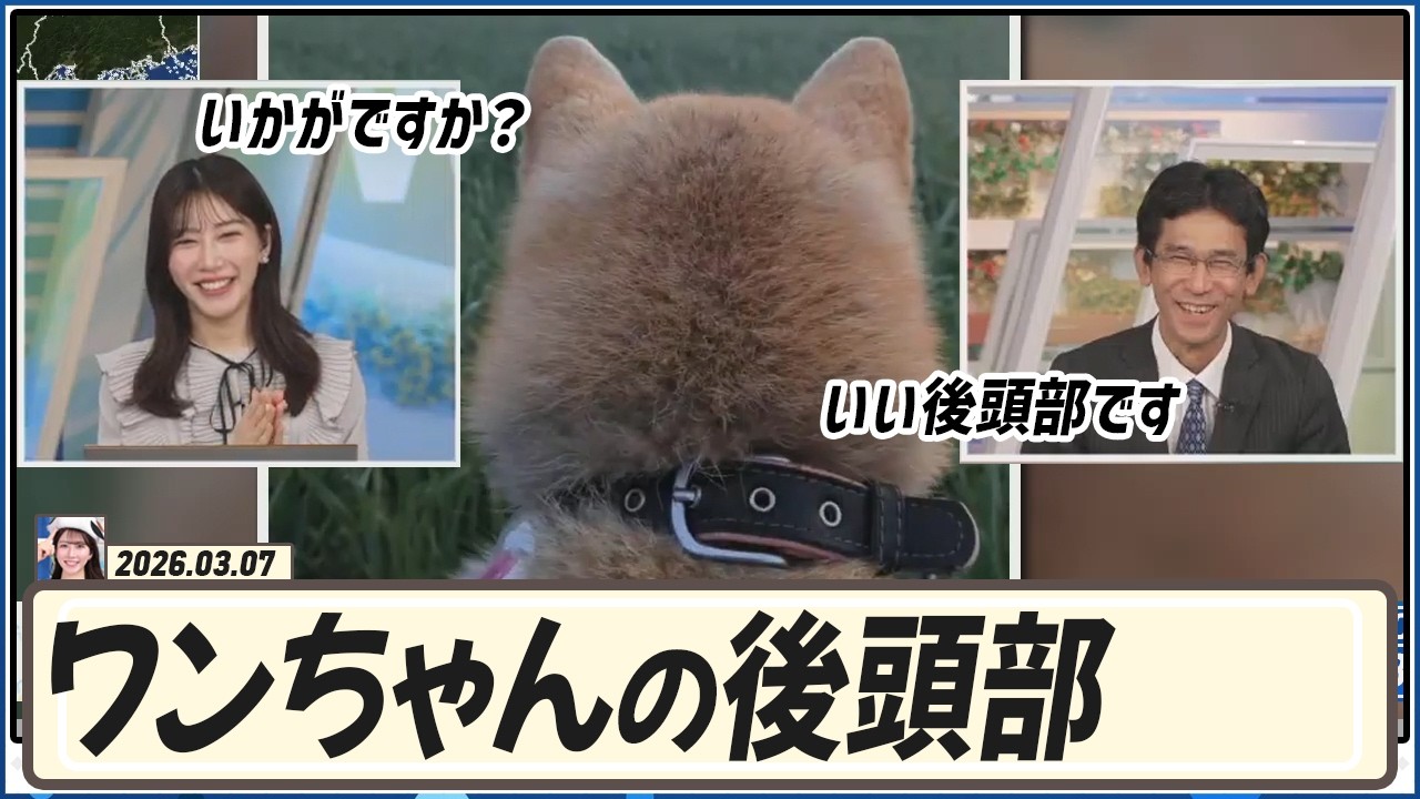 【魚住茉由】 山口さん、どうですか？ワンちゃんの後頭部いかがですか？