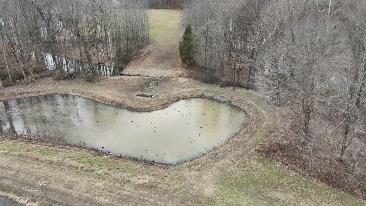 Duck Bottom Flight