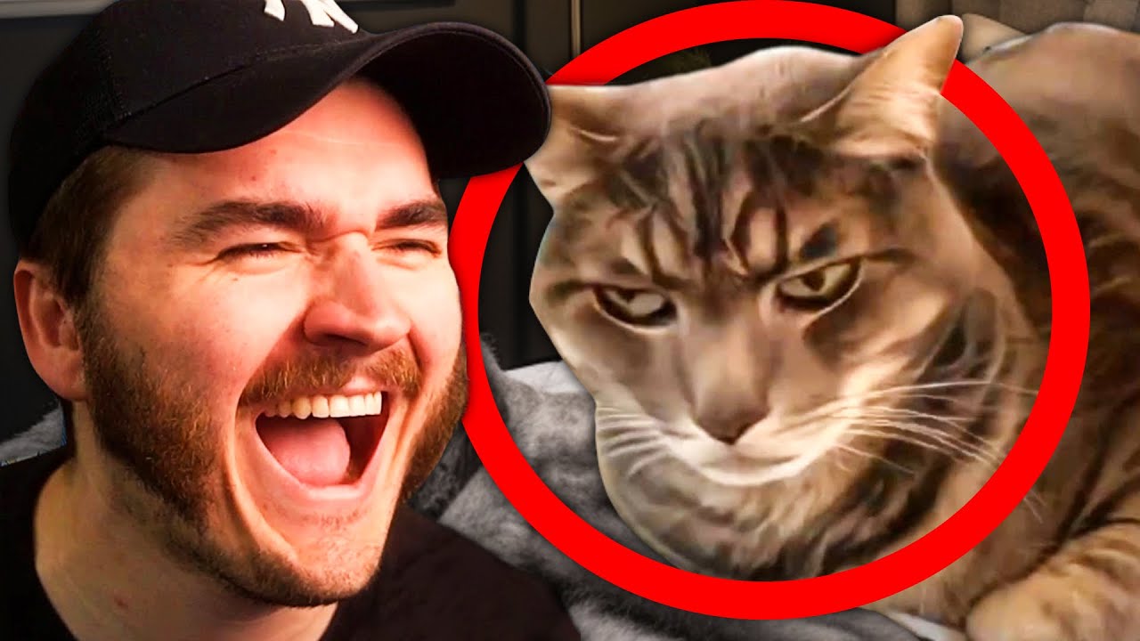 Schlatt Reacts to DISGUSTING Bedrooms