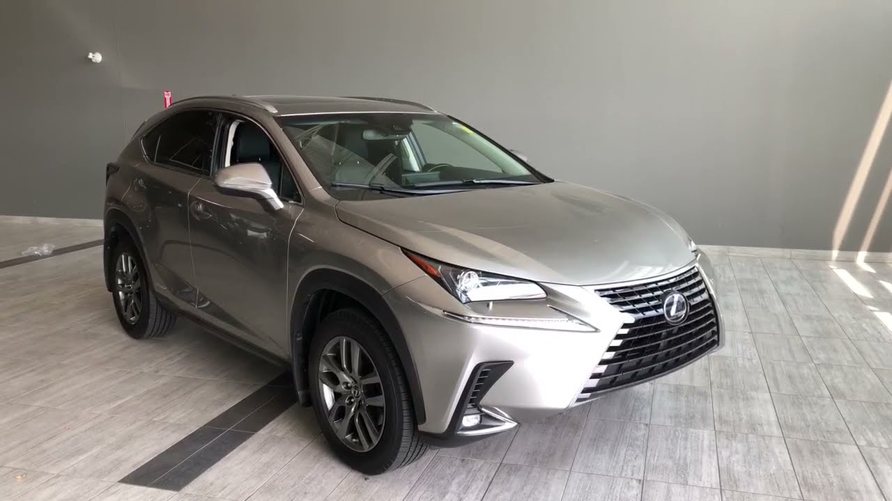 2019 Lexus NX 300h  Review