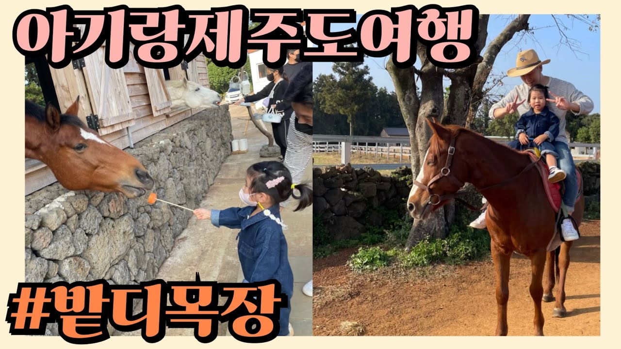 [제주도여행VLOG]아기랑 제주도 가볼만한곳 밭디목장 / 두돌아기의 승마 도전기 / 아기랑 제주도 체험