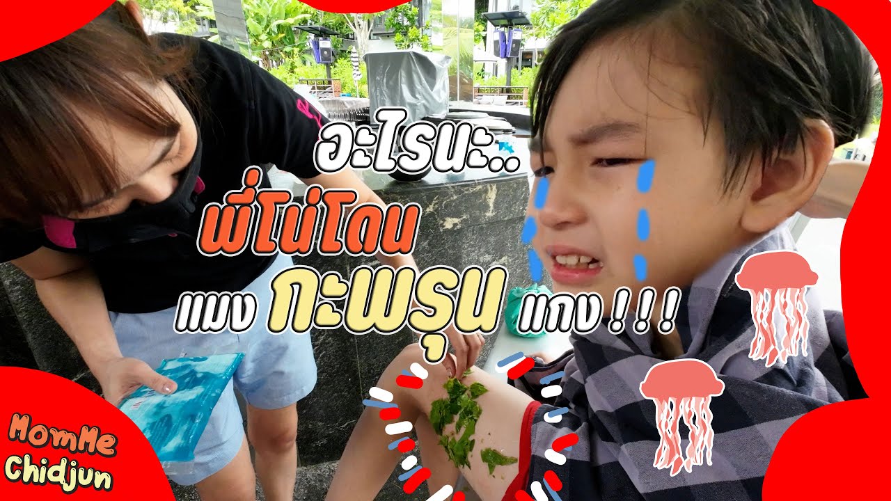 อะไรนะ.. พี่โน่โดนแมงกระพรุนแกง!!! | MomMe Chidjun EP.263