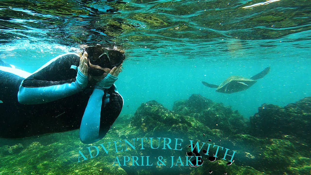 April Goes to The Galapagos - Part 3 | Fernandina & Isabela Islands