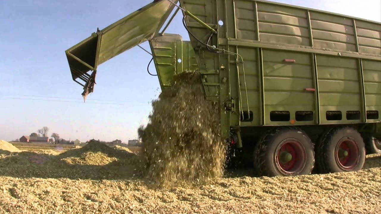 Kukurydza 2010 - Claas, John Deere, JCB...