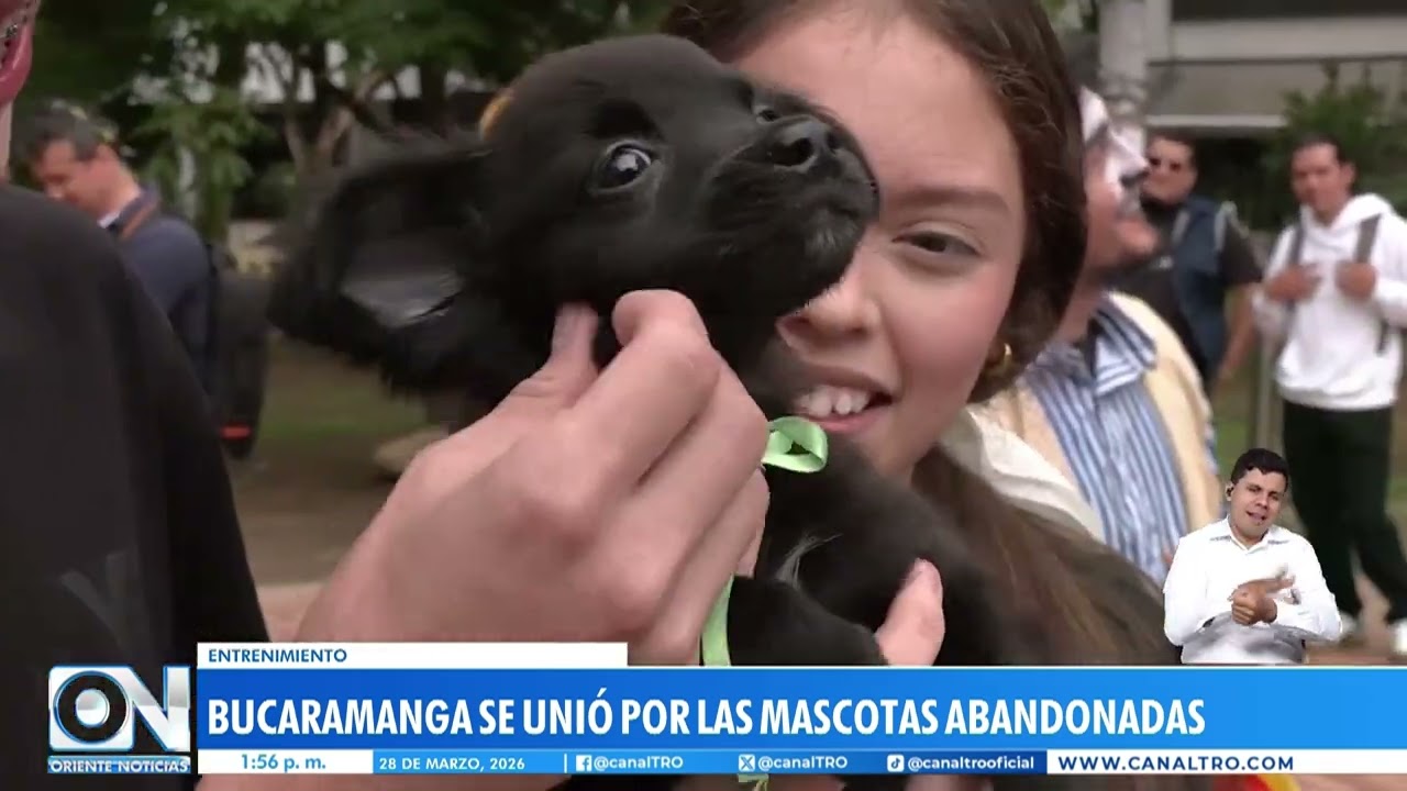 Radiot&oacute;n en Bucaramanga: jornada solidaria llen&oacute; de m&uacute;sica y apoyo a animales en abandono