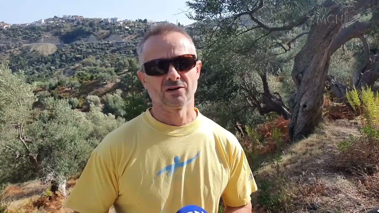 Dyfishohet çmimi i vajit të ullirit, fermerët në Kaninë: Ka më pak prodhim se vitin e kaluar