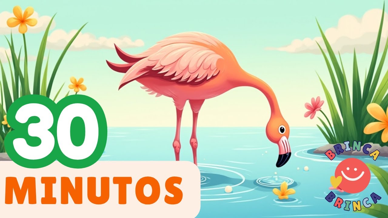 🌈 Fla y sus Amigos en el Pantano | Música Infantil Divertida 🦩