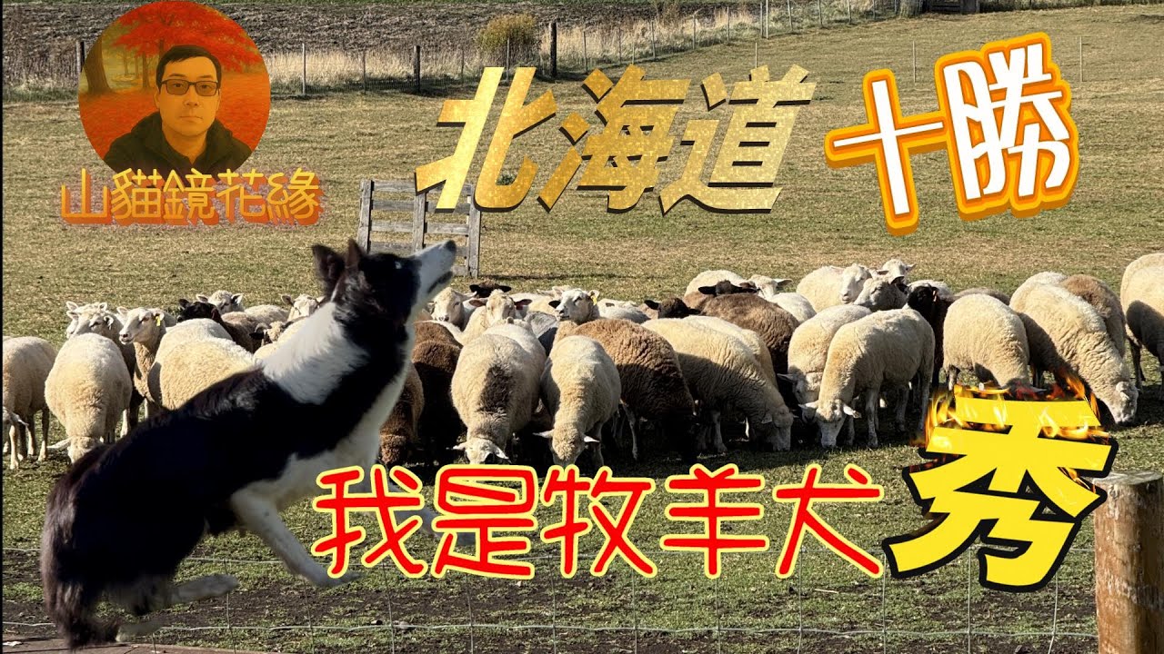 日本