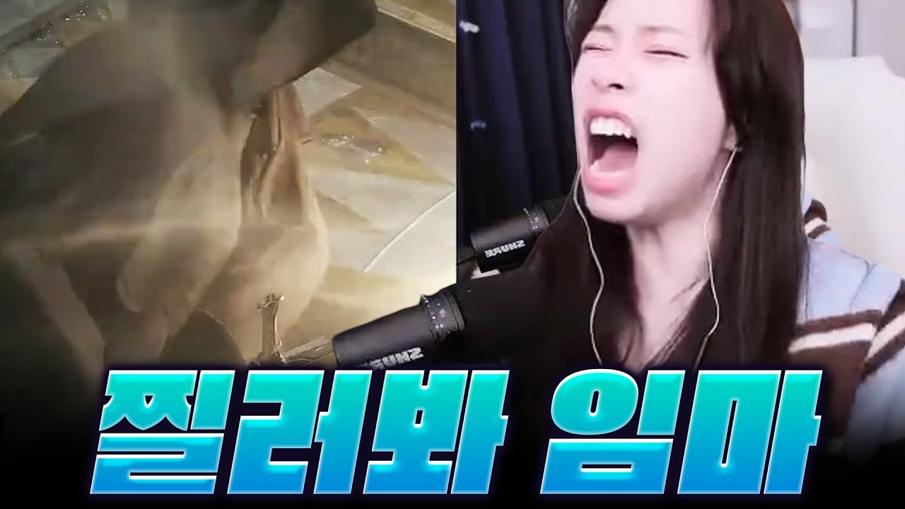 [로드나인] 아니 거짓말이 아니라 진짜 시집 못 갈 거 같아요.